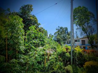 Stream Inn Haputale - 2