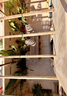 Apartamentos Flores playa - 3