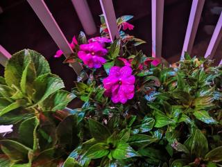 Stream Inn Haputale - 4