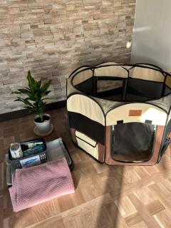 民泊オーシマンチュ - 4