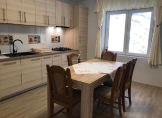 Pensiunea 7 Brazi - 6