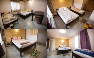 Pensiunea 7 Brazi - 1