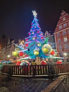 Rynek pod Fredrą - 8