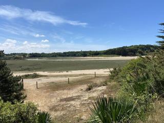 109 - Appartement T3 lumineux à quelques mètres de la plage de Sables-D'or-Les-Pins. - 9