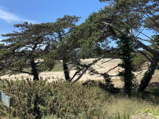 109 - Appartement T3 lumineux à quelques mètres de la plage de Sables-D'or-Les-Pins. - 7