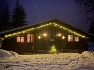 Newly renovated cabin near Ål city center, mountains & ski resort - 0