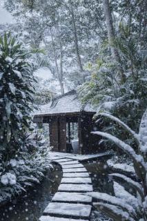 The Hidden Paradise Ubud - CHSE Certified - 6