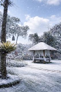 The Hidden Paradise Ubud - CHSE Certified - 7