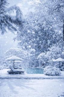 The Hidden Paradise Ubud - CHSE Certified - 9