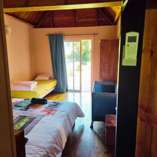 Bienvenue chez Gaston - 8