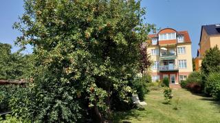 Fewo auf Wassergrundstück - 9