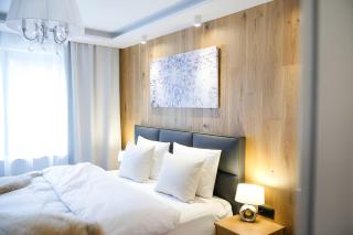 NĀVA PLACE Premium Alpine Apartment in Kaprun - Private Sauna, Peaceful Location, Near Glacier & WIFI - Kaprun - 3