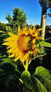 Cabañas Natural Box 1 - 7