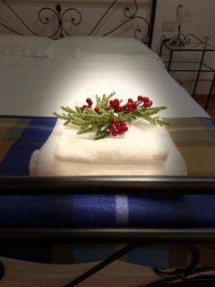 Intero appartamento - spazioso- a 10 minuti a piedi Ponte Vecchio e 5 minuti da Palazzo Pitti , ideale per coppie e famiglie, in area UNESCO - Florencia - 8