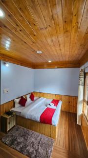 Hill Ice Guesthouse - Tosh Valley - 2