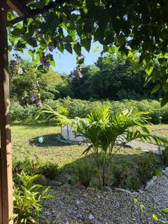 Country house near the Palomino River - 5