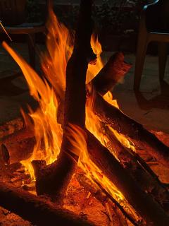 Green way homestay - 3