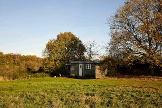 Host and Stay - Florence - 5