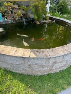 Casa jurere Praia e natureza num só lugar - Florianópolis - 3