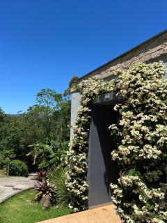 Casa jurere Praia e natureza num só lugar - Florianópolis - 9