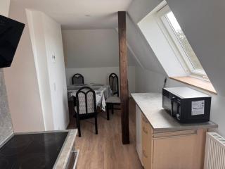 NEU! Ferienwohnung Elsteraue DG oben - 8