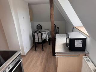 NEU! Ferienwohnung Elsteraue DG oben - 1