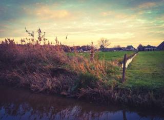 Bed and Breakfast Reestdal - 4