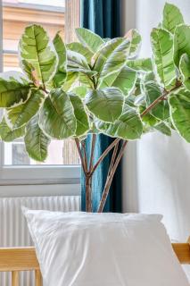 Le passage du renard pour 6 personnes avec parking - Rouen - 8