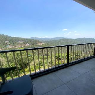 Golden pine villa - 8