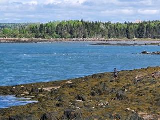 Sunset Cabin by the Sea, Log cabin stunning views - 9