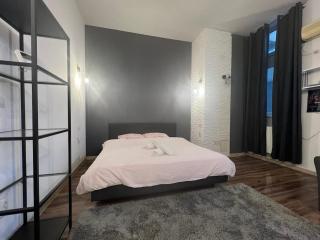 Studio near the Metropolitan Church - 3