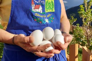 Thalhofer Hof - Lazfons - 1