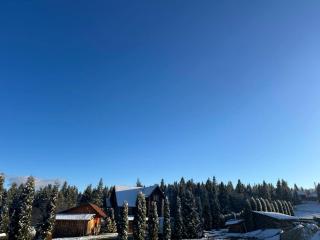 Лісовий Затишок - 5