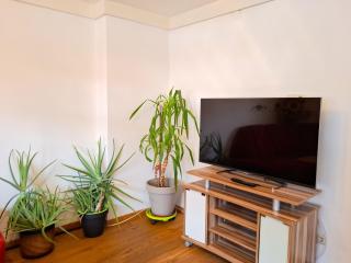 Apartment Schachner-2 by Interhome - 6