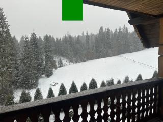 Лісовий Затишок - 4