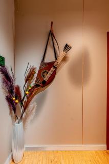 Sky apartment UB - 5