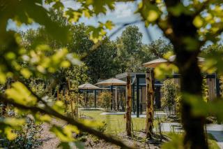 Veluwepark De Bosgraaf | Comfort met Hottub - 8