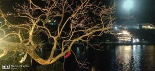 lake & woods-a boutique lakeview property - 4