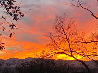 Le Relais des Malettes Chambres d'hôtes B&B - 8