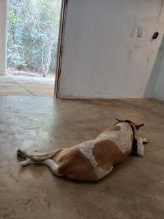 Chalé Recanto do Araripe - 4