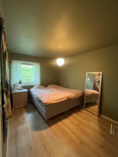 Newly renovated 3-room apartment - 7