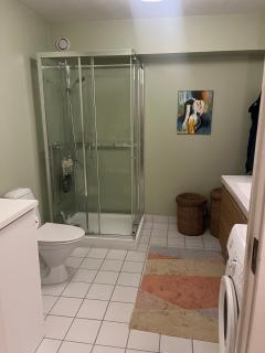 Newly renovated 3-room apartment - 6