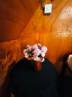 Ella Waterfall View Cabana By Ella Jungle Rock Hotel - 9