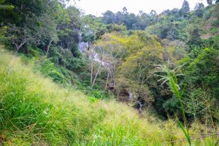 Ella Waterfall View Cabana By Ella Jungle Rock Hotel - 7