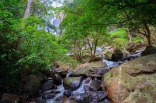 Ella Waterfall View Cabana By Ella Jungle Rock Hotel - 6