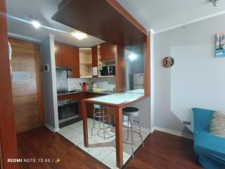 Departamento con encanto cerca de Bellas Artes y Lastarria - 1