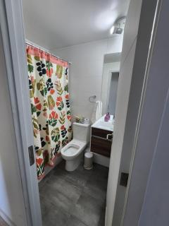 departamento frutillar - 4