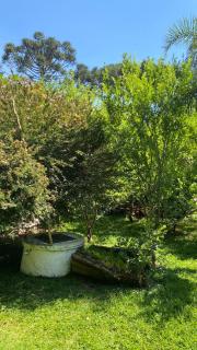 Chácara Prudentópolis - 5