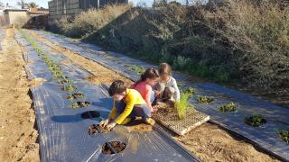 חאן בכפר במשק בלה מאיה - האוהל - 4