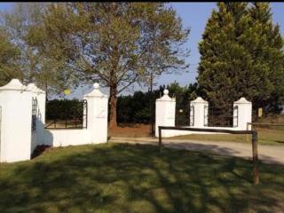 Lionsgate Estate Cottage - Dargle - 8